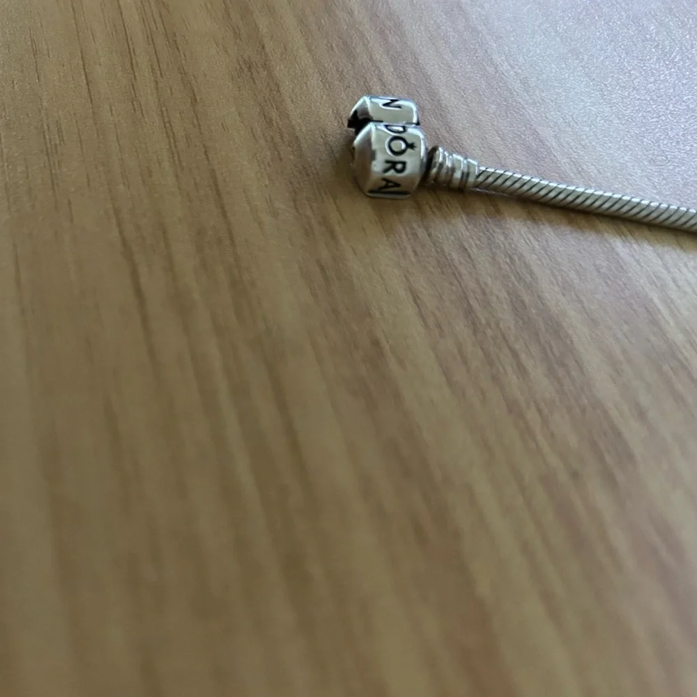 Pandora Authentic Moments Snake Chain - Picture 6 of 6